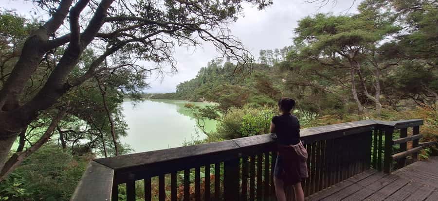 Private VIP Luxury Auckland - Rotorua Geothermal Wonderlands - The long return to Auckland