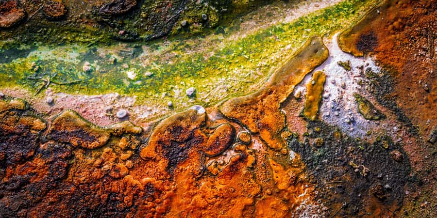 Private VIP Luxury Auckland - Rotorua Geothermal Wonderlands - Is $493 per person good value?