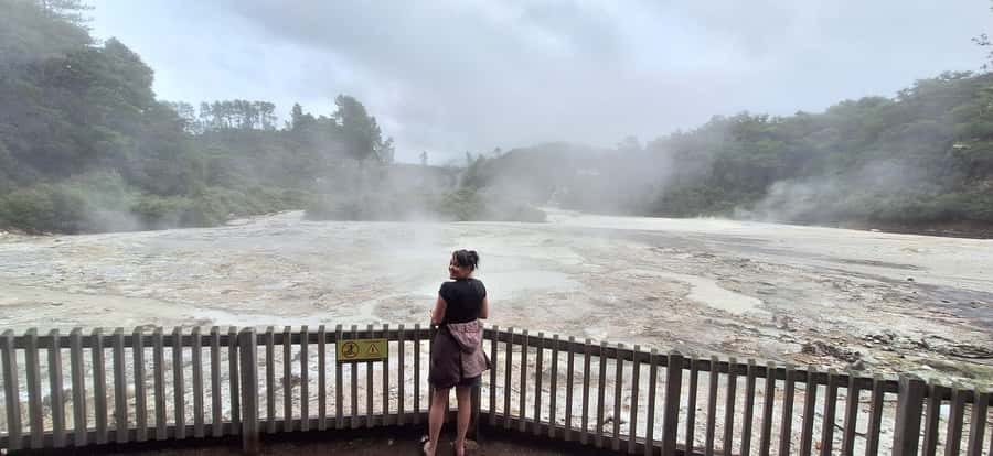 Private VIP Luxury Auckland - Rotorua Geothermal Wonderlands - Who should book this day trip?