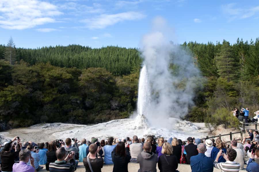 Private VIP Luxury Auckland - Rotorua Geothermal Wonderlands - Rangiriri and Piarere add context to the drive
