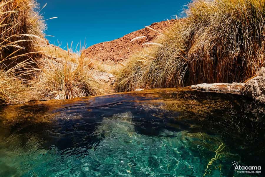 Puritama Hot Springs - Tour : San Pedro de Atacama - Chile - Practical planning for a smoother visit