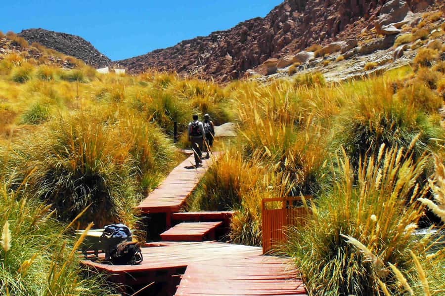 Puritama Hot Springs - Tour : San Pedro de Atacama - Chile - Your 270-minute outing from San Pedro de Atacama