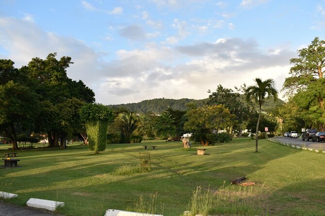 Relax in Hot Springs and swim in Titou Gorge and Trafalgar Falls - Why Titou Gorge makes this tour worth considering