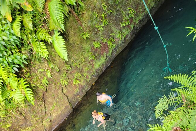 Relax in Hot Springs and swim in Titou Gorge and Trafalgar Falls - Roseau’s museum and gardens set the scene