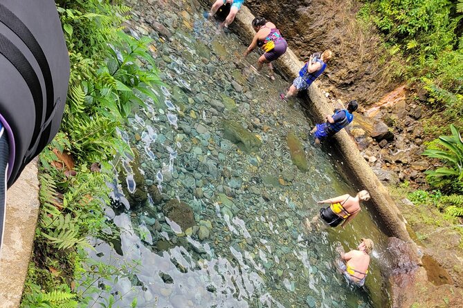 Relax in Hot Springs and swim in Titou Gorge and Trafalgar Falls - What to bring and what to confirm
