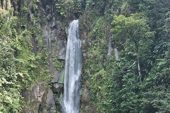 Relax in Hot Springs and swim in Titou Gorge and Trafalgar Falls - Is $110 a fair price?