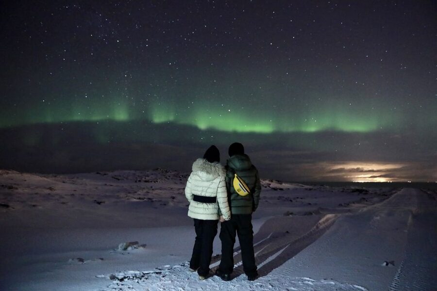 Reykjavík: Golden Circle, Blue Lagoon & Northern Lights Tour - The guide can shape the whole day