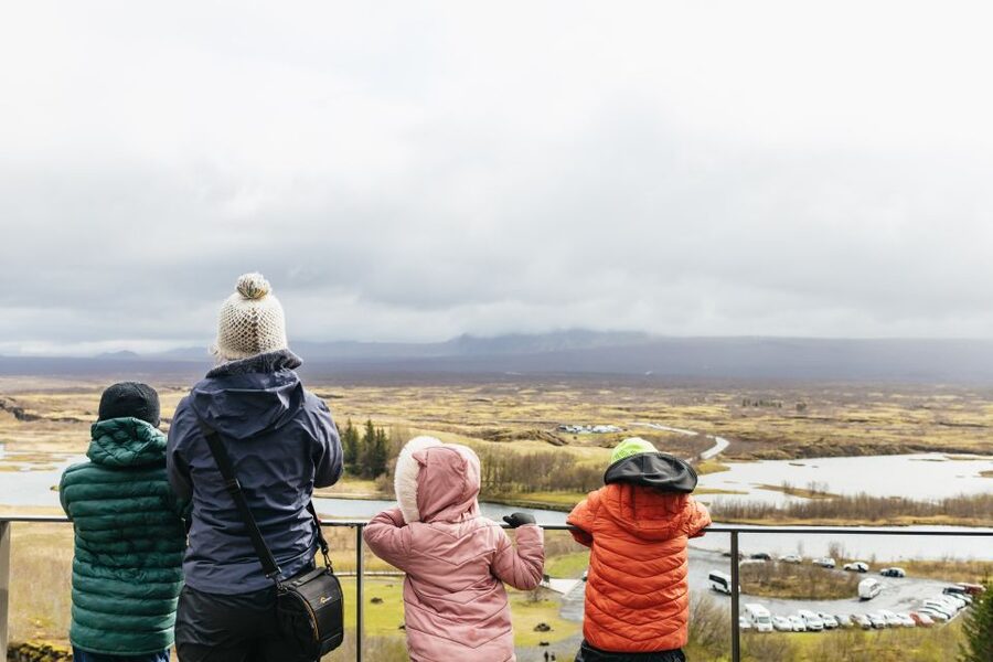 Reykjavik: Golden Circle, Crater & Blue Lagoon Minibus Tour - Who should book this tour?