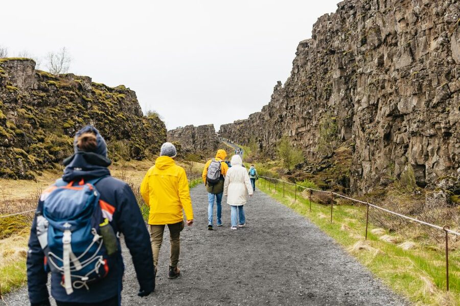 Reykjavik: Golden Circle, Crater & Blue Lagoon Minibus Tour - What the minibus is like on a long day