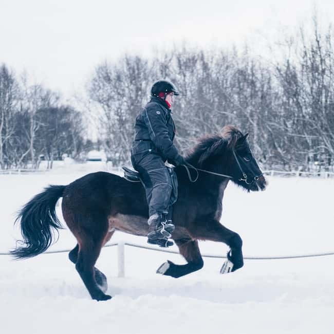 Reykjavik: Golden Circle, Farm & Sky Lagoon Small-Group Tour - Weather, pace, and who will enjoy it most