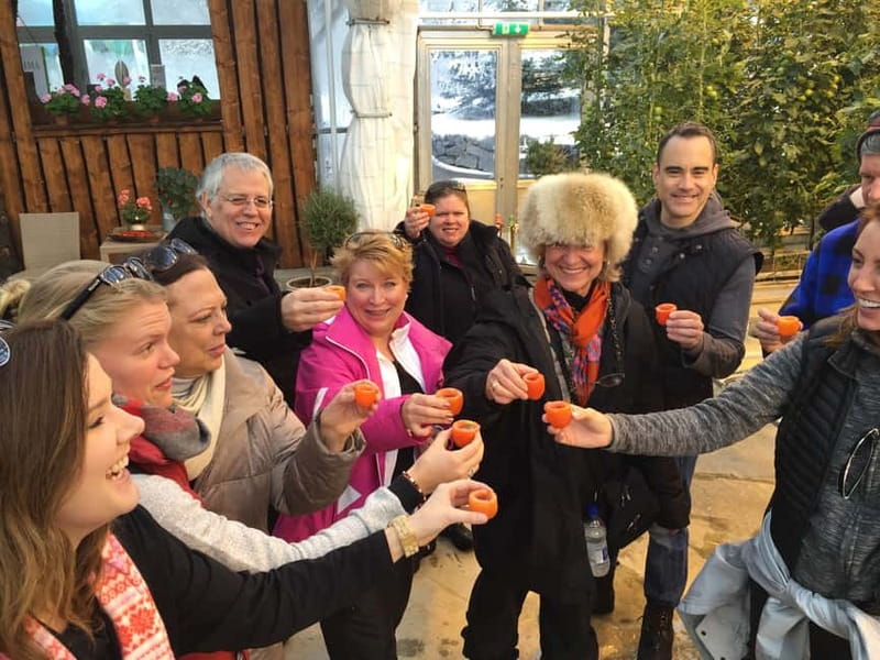 Reykjavik: Golden Circle, Farm & Sky Lagoon Small-Group Tour - Why this Golden Circle day works so well