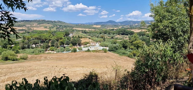 Rome to Saturnia ; Thermal Springs Day Trip with Lunch - What the service adds to the price