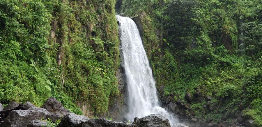 Roseau: Titou Gorge, Hot Spring, Falls & Champagne Reef Tour - A six-hour sampler of Dominica’s wild side