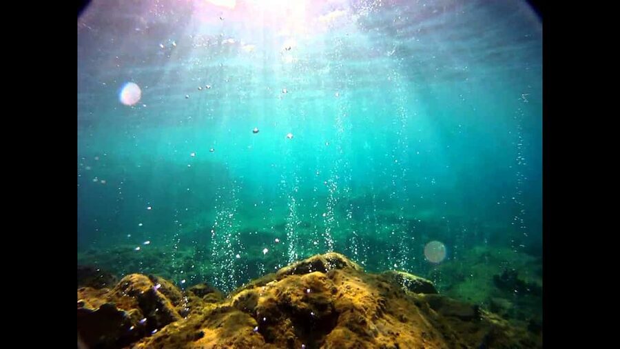 Roseau: Titou Gorge, Hot Spring, Falls & Champagne Reef Tour - Swimming through Titou Gorge