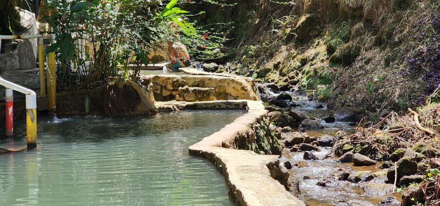 Roseau: Titou Gorge, Hot Spring, Falls & Champagne Reef Tour - Trafalgar Falls and a short rainforest walk