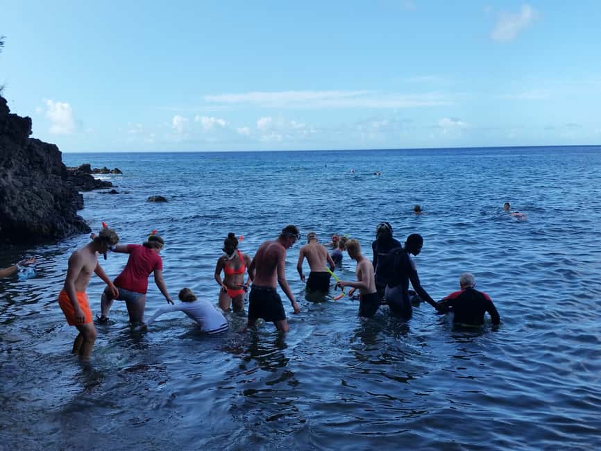 Roseau: Titou Gorge, Hot Spring, Falls & Champagne Reef Tour - Roseau’s Botanical Gardens and Morne Bruce