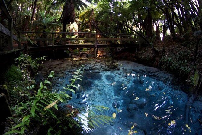 Rotorua Cultural & Geothermal Small Group Tour From Auckland - The morning drive through Bombay and Tirau