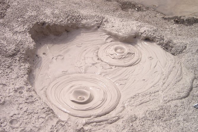 Rotorua Geothermal Wonderland Tour – Departs Tauranga - Is $166.31 good value?