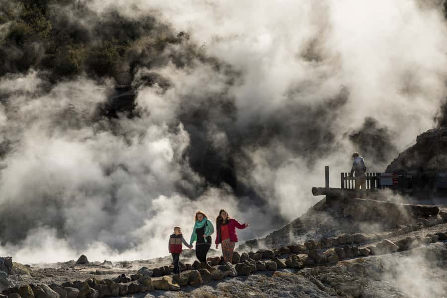Rotorua: Hell's Gate Geothermal Walk - Hell’s Gate puts Rotorua’s geothermal power close to the path
