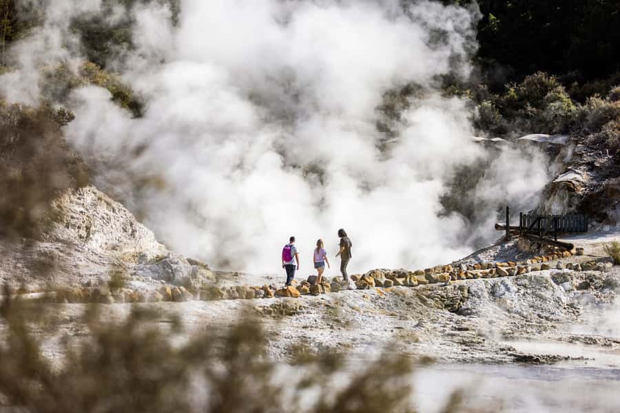 Rotorua: Hell's Gate Geothermal Walk - Time, access, and who will enjoy it most