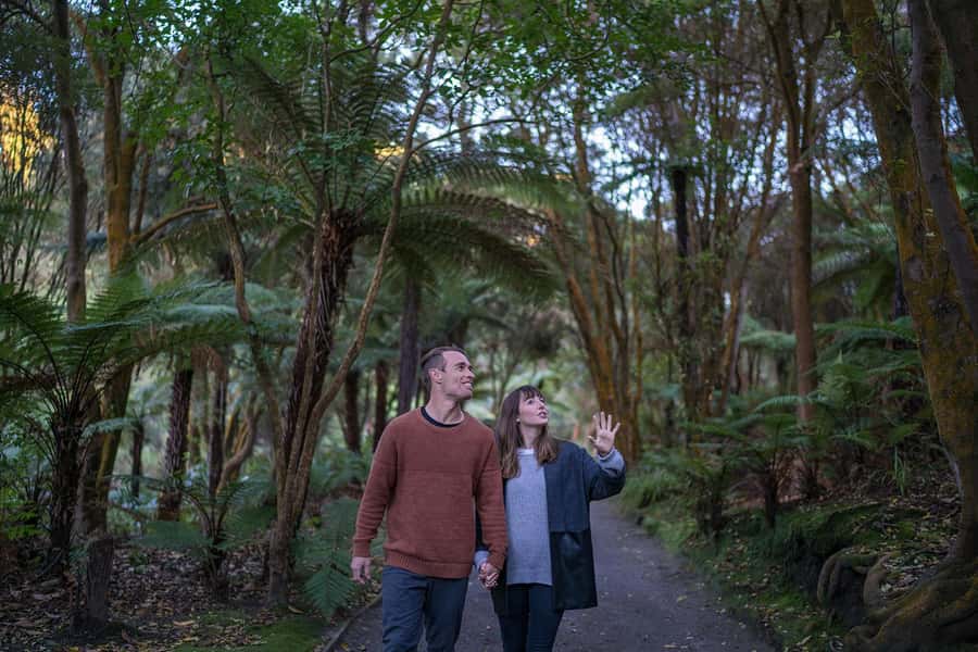 Rotorua: Hell's Gate Outdoor Mud Spa & Guided Walk - Why a guide can change the walk