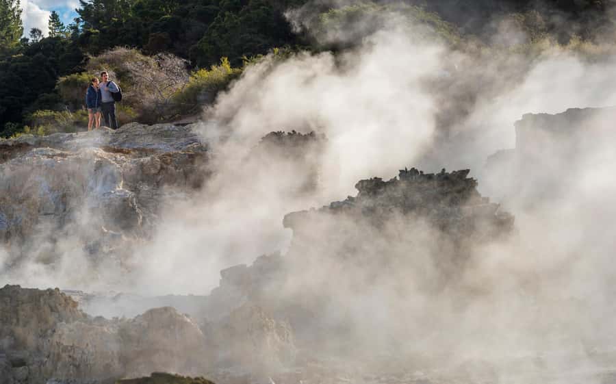 Rotorua: Hell's Gate Outdoor Mud Spa & Guided Walk - Māori carving and the cultural element