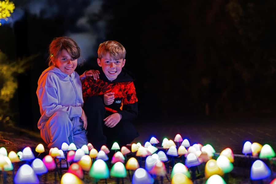 Rotorua: Marama Geyser Light Trail & Geothermal Experience - What the $29 price buys you