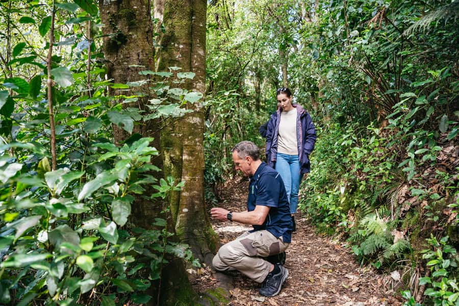 Rotorua: 'Thermal Path Tour' Geothermal half day Tour - Key points to know before booking