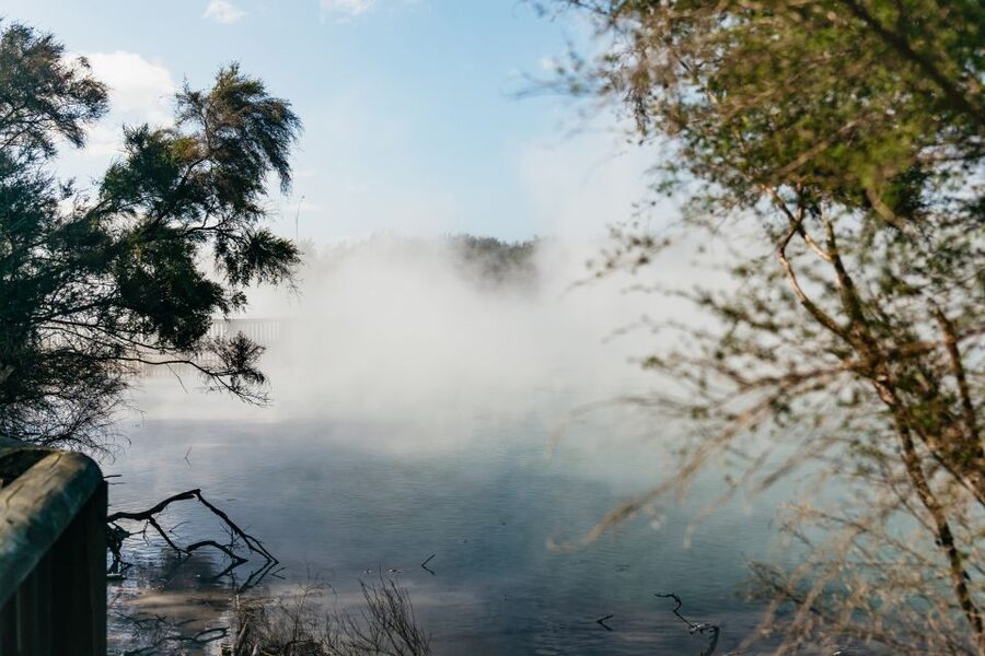 Rotorua: 'Thermal Path Tour' Geothermal half day Tour - Is the $89 price good value?