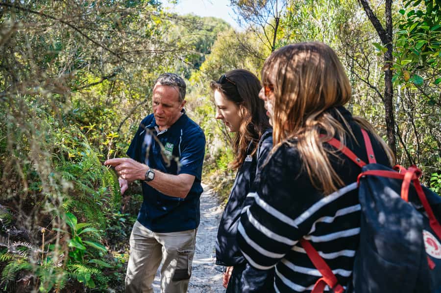 Rotorua: 'Thermal Path Tour' Geothermal half day Tour - Practical preparation for the walks and pools