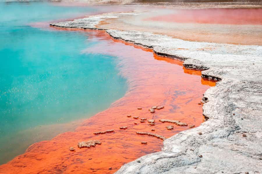 Rotorua: Wai-O-Tapu Geothermal Park Entry Ticket - Key points to know before you go