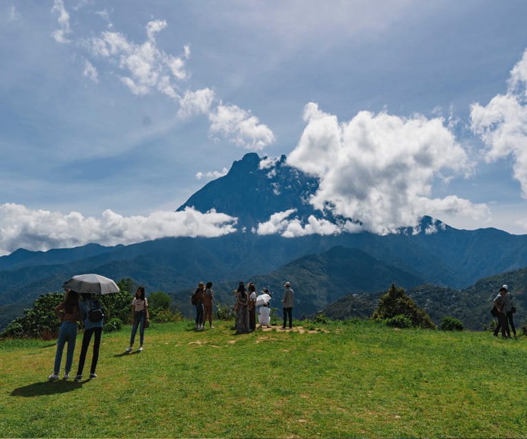 Sabah: Kinabalu Park, Hot Springs, and Cow Farm Day Tour - Five things to know before you go