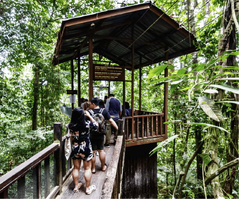 Sabah: Kinabalu Park, Hot Springs, and Cow Farm Day Tour - The canopy closure and Tamparuli alternative