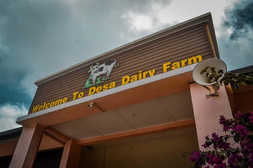 Sabah: Kinabalu Park, Poring Hot Springs & Desa Farm Tour - Practical preparation for an 11-hour outing