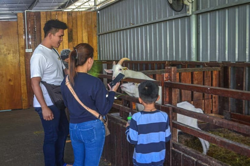 Sabah: Kinabalu Park, Poring Hot Springs & Desa Farm Tour - Kinabalu Park and the Mount Kinabalu photo stop