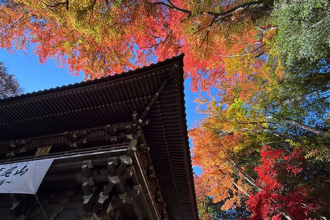 Samurai Guide Sho’s Mt. Takao Hike, Temple & Onsen from Shinjuku - The train ride to Takaosanguchi