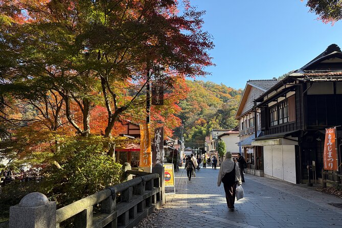 Samurai Guide Sho’s Mt. Takao Hike, Temple & Onsen from Shinjuku - TAKAO36SAUNA and the final soak