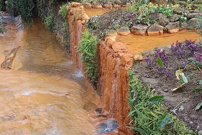 San Miguel : Vulcanic Experience in Furnas (W/ thermal baths) - Lagoa das Furnas and the fumarole area