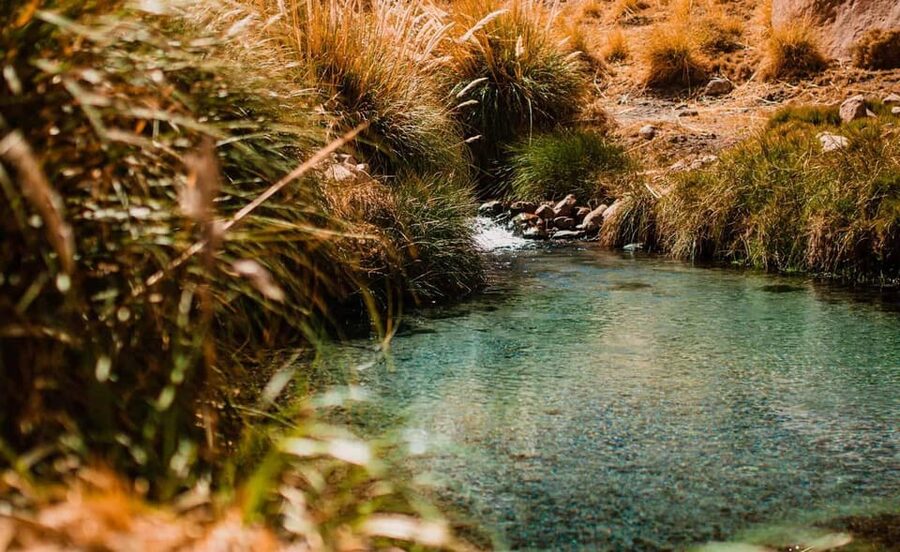 San Pedro de Atacama: Puritama Hot Springs - Who should book this experience