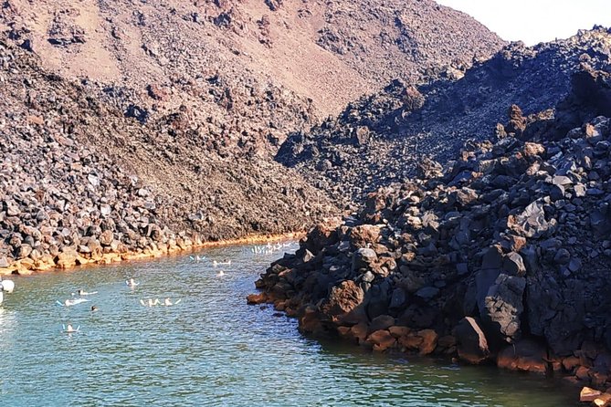 Santorini Volcanic Islands Cruise: Volcano, Hot Springs and Thirassia - Thirassia and Manolas, a quieter island stop