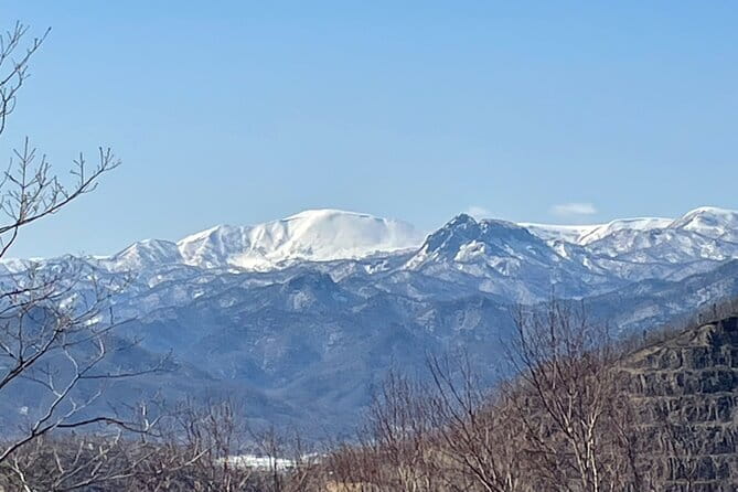 Sapporo Private Sightseeing Tour in Onsen with Special Package - Why the private vehicle changes the value