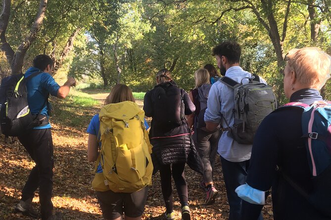 Saturnia's thermal waters a hike through history - Why this walk adds meaning to Saturnia’s famous springs
