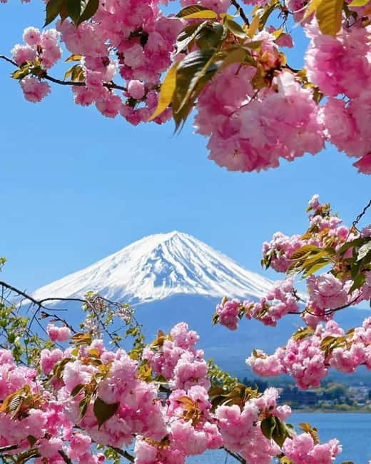 [Seasonal Limited] Mt. Fuji 5th Station &Hot Spring Day Tour - Who will get the most from this day