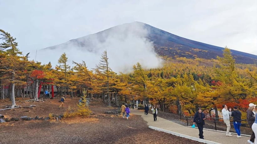 [Seasonal Limited] Mt. Fuji 5th Station &Hot Spring Day Tour - Reaching the 5th Station at 2,300 meters