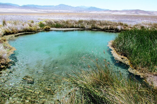 Secret Desert Hot Springs: 4-Hour Private Adventure - Who will enjoy this escape most?