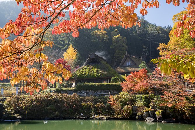 Shirakawago(UNESCO world heritage)/ Onsen / Hiking / 1day tour - Hirayu Falls and the thousand-year-old Nezuko tree