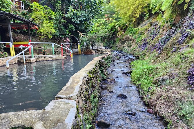 Shoreside Fun-Day with Titou Gorge, Hot Springs & Champagne Reef - Swimming into Titou Gorge