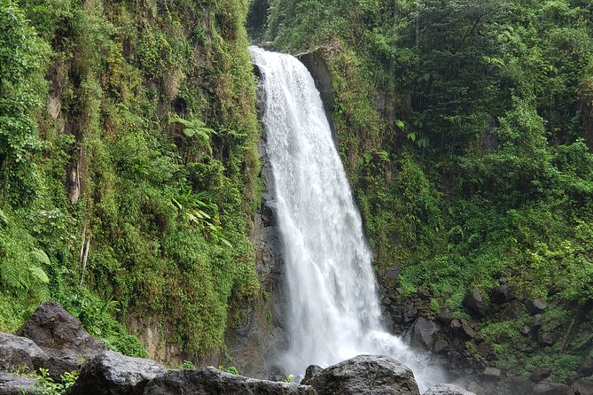 Shoreside Fun-Day with Titou Gorge, Hot Springs & Champagne Reef - Trafalgar Falls and the short rainforest walk