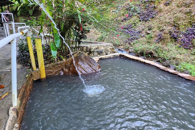 Shoreside Fun-Day with Titou Gorge, Hot Springs & Champagne Reef - Champagne Reef, where the seabed fizzes