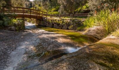 Silves, Caldas and Monchique Wine Tasting: Full Day Tour
